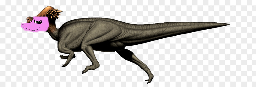 Dinosaur Velociraptor Pachycephalosaurus Triceratops Parasaurolophus PNG