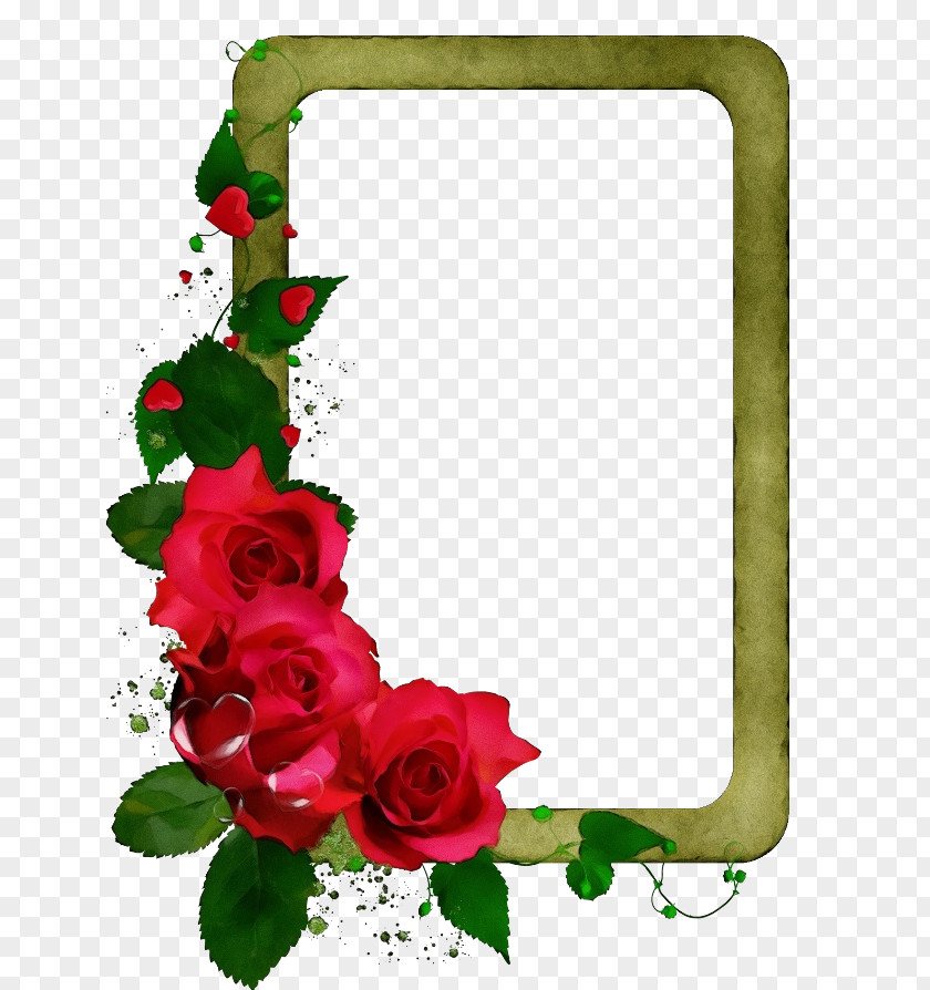 Garden Roses Petal Picture Frame PNG