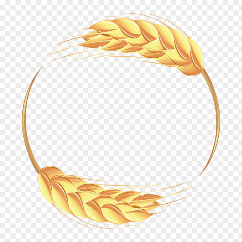 Golden Wheat Ear Illustration PNG