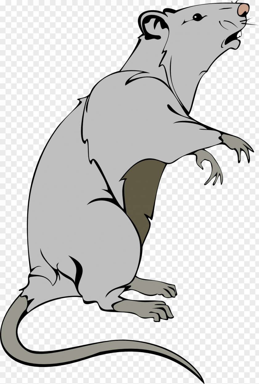 Mouse Animal Rat Clip Art PNG