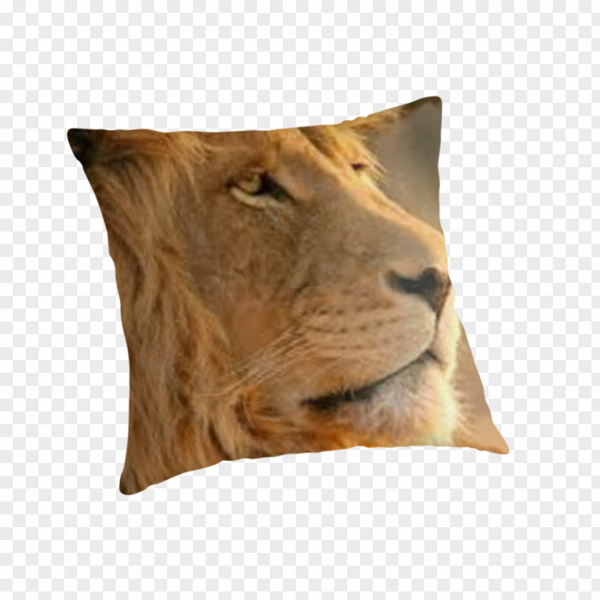 Pillow Throw Pillows Cushion Mac OS X Lion PNG