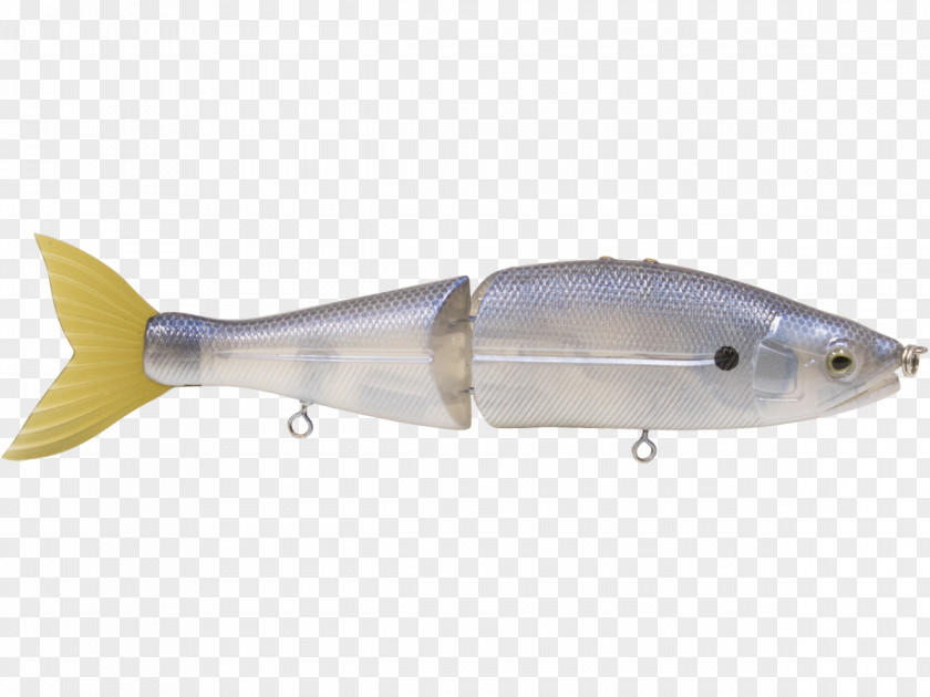 Spoon Lure Milkfish Herring Oily Fish PNG