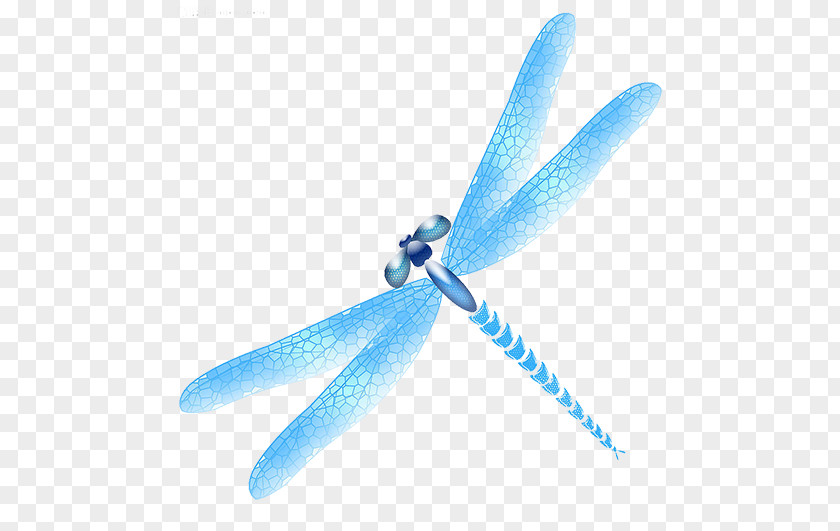 Blue Dragonfly Icon PNG