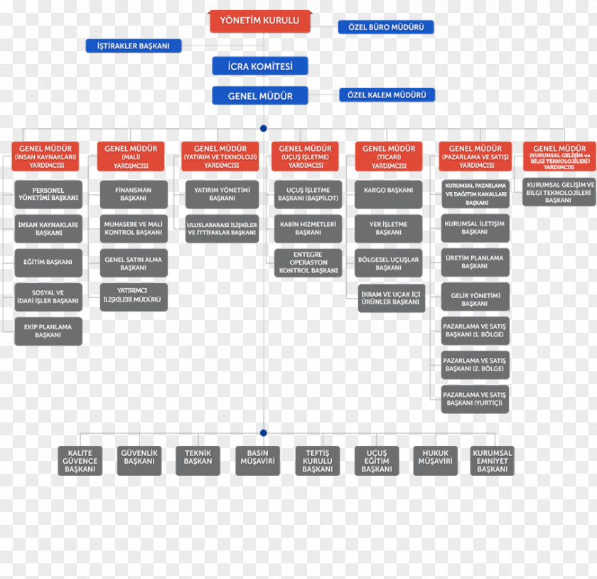 Business Organizational Chart Turkish Airlines Structure PNG