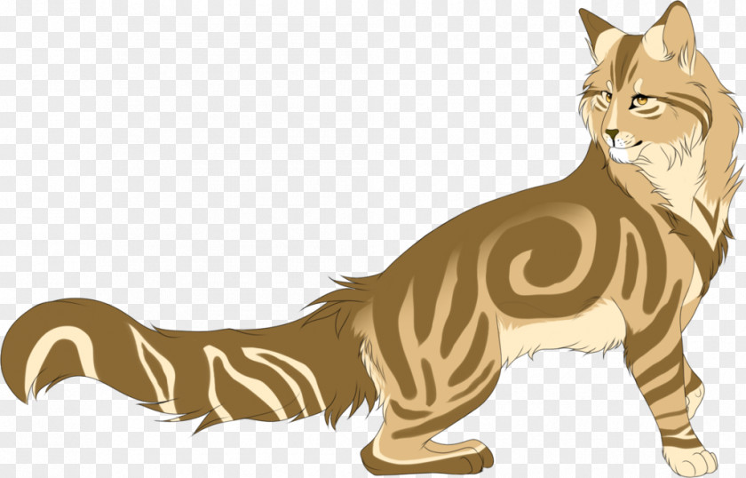 Cat Whiskers Warriors Mothwing Leafpool PNG