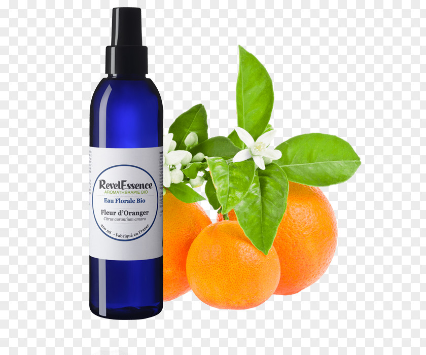 Fleur D'oranger Anti-aging Cream Wrinkle Life Extension Ageing Vitamin C PNG