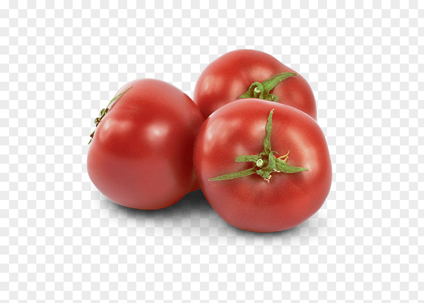 Vegetable Plum Tomato Bush Food Cherry PNG