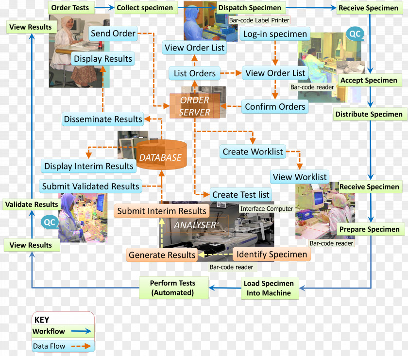 Chart Layout Medical Laboratory Information Management System Pathology Medicine PNG