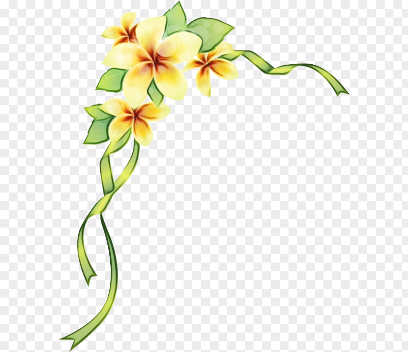 Cut Flowers Plant Stem Flower Flowering Clip Art Pedicel PNG