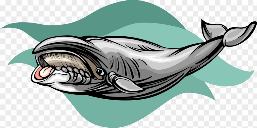 Dolphin Requiem Sharks Porpoise Illustration PNG