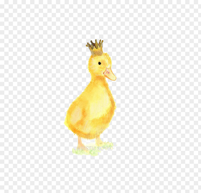 Duck Crown Illustration PNG