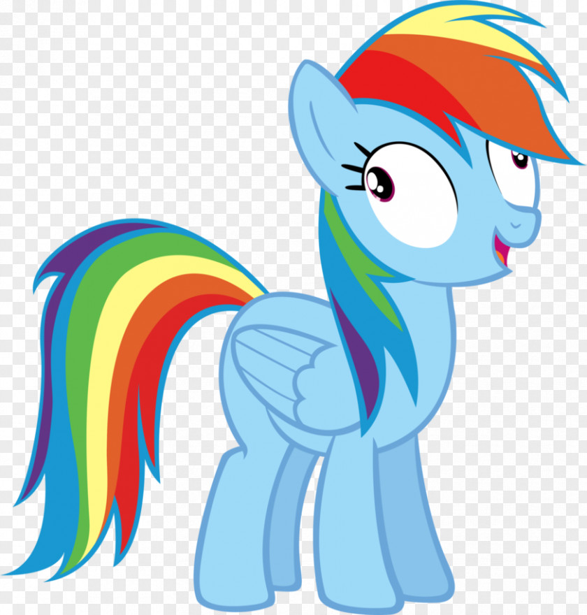 Rainbow Dash Pinkie Pie Applejack Rarity Twilight Sparkle PNG