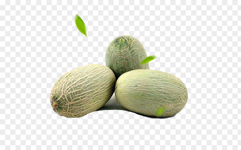 Three Melon Cantaloupe Hami Honeydew Seed Fruit PNG