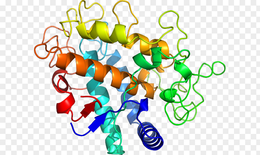 Science Protein Structure Antimicrobial Peptides PNG