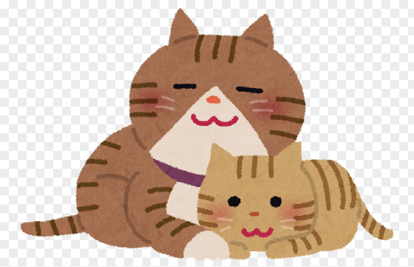 Cat Kitten ベッツアニマルクリニック瀬戸 Pet Kneading PNG