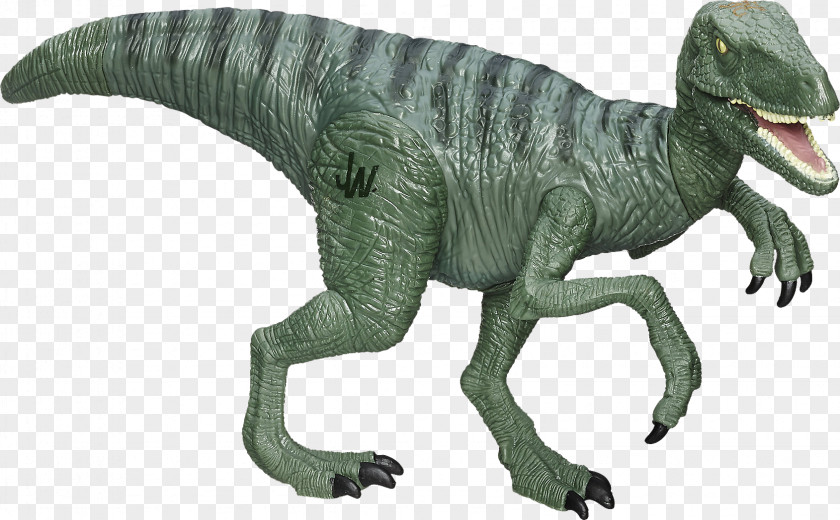 Indoraptor Velociraptor Lego Jurassic World Park Gallimimus Compsognathus PNG