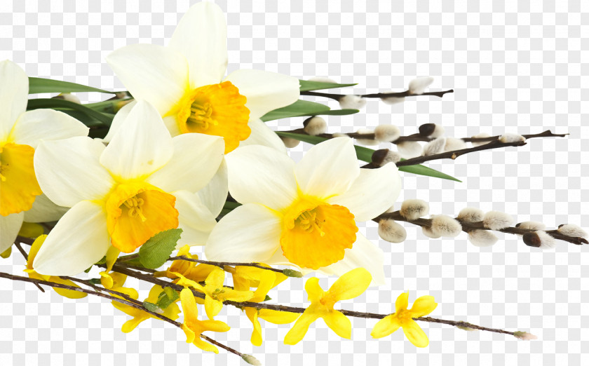 Lily Of The Valley Daffodil Flower Bouquet Tulip Desktop Wallpaper PNG
