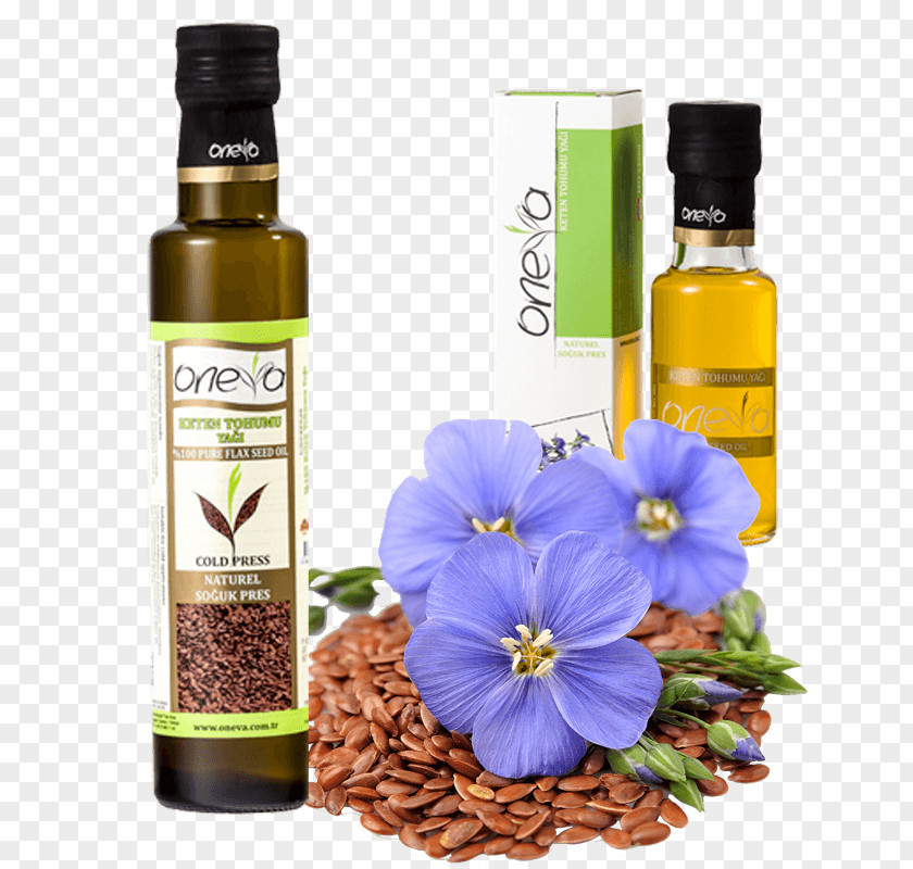 Oil Vegetable Flax Seed Linseed PNG