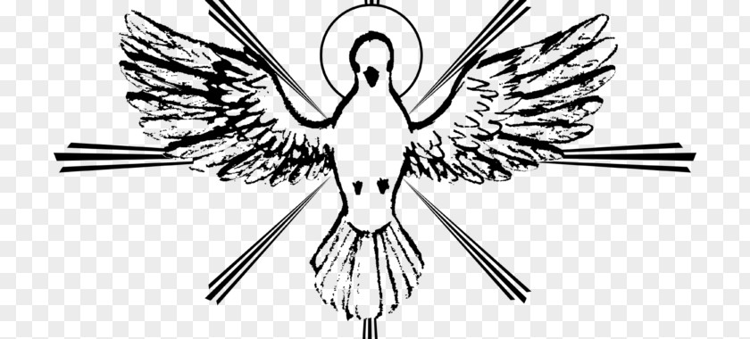 Pentecost Catholic Seven Gifts Of The Holy Spirit Catechism Church Doves As Symbols PNG