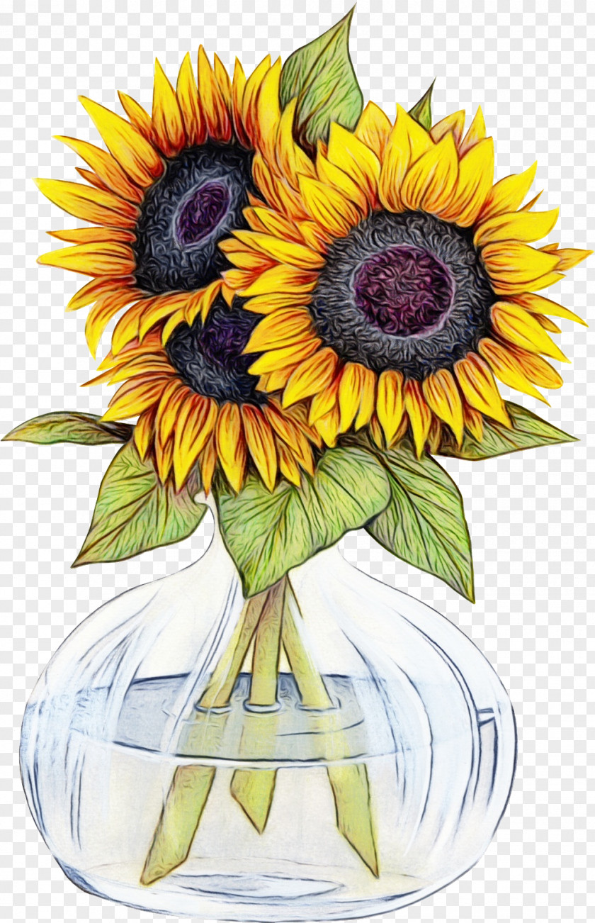 Petal Sunflower Seed PNG