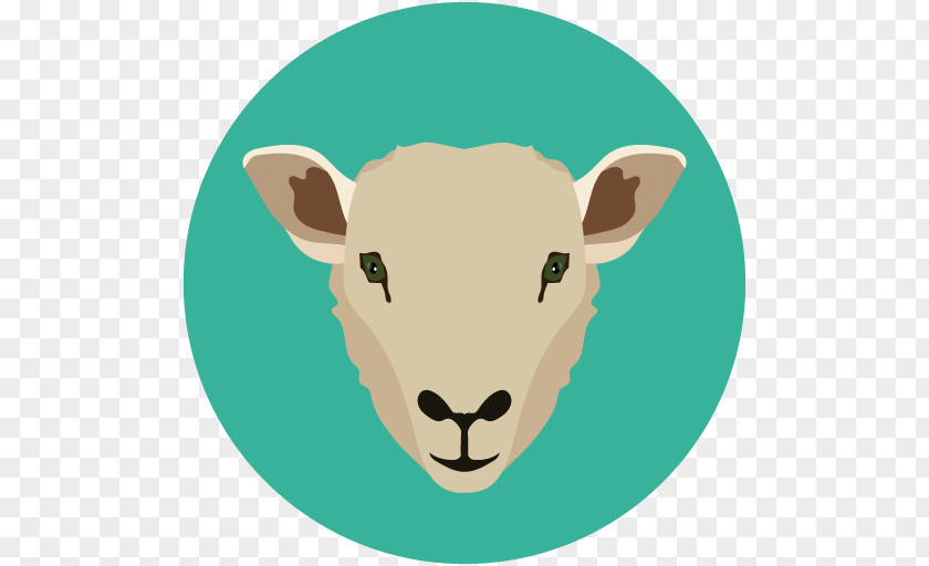 Sheep Copake Veterinary Hospital Illustration Clip Art Stock Photography PNG