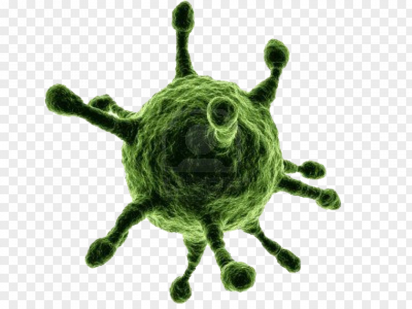 Vector Virus Infection Bacteria Organism PNG