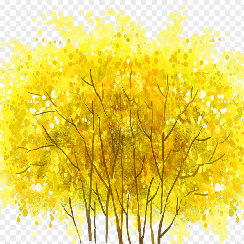 Autumn Season Yellow Green PNG