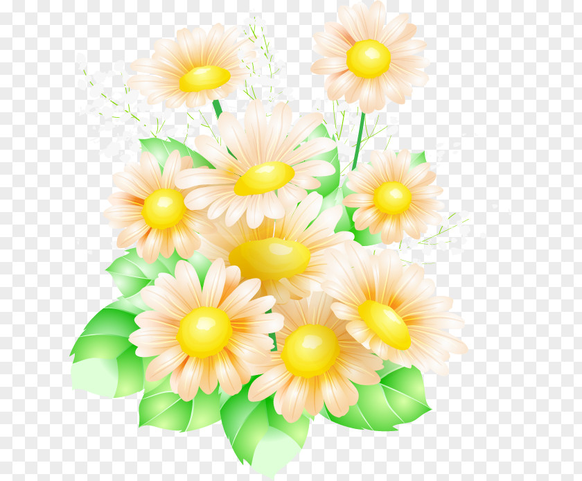 Creative Flowers Flower Drawing PNG