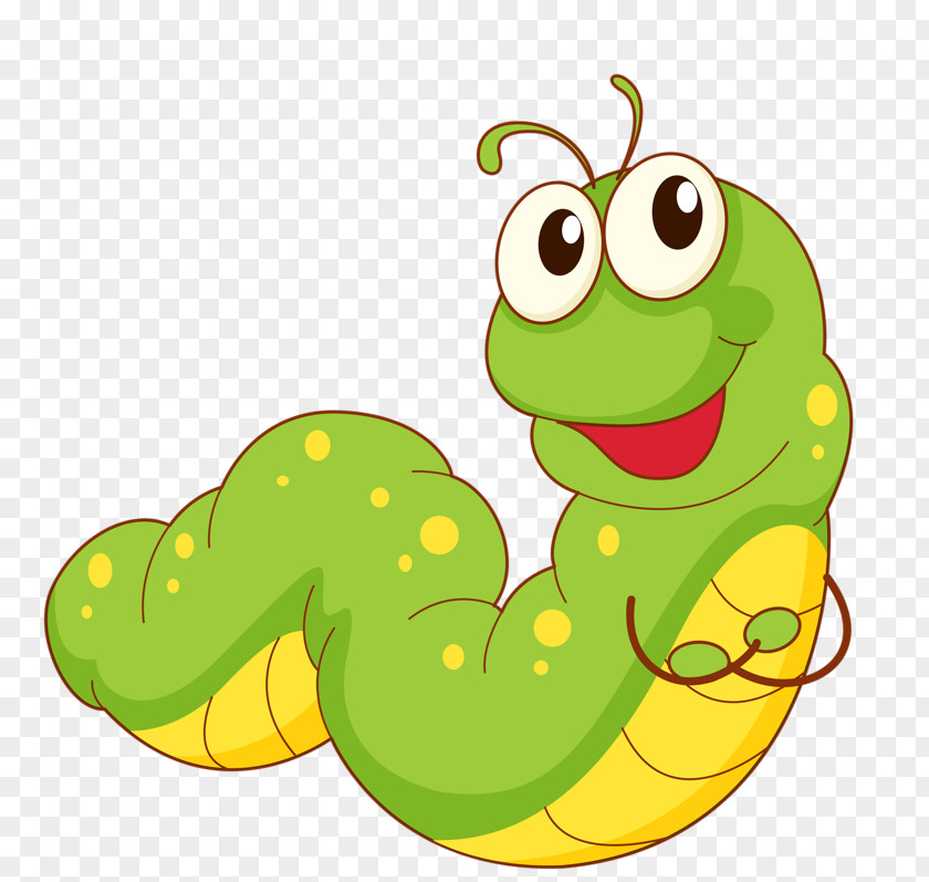 Green Bug Caterpillar Butterfly Cartoon Clip Art PNG