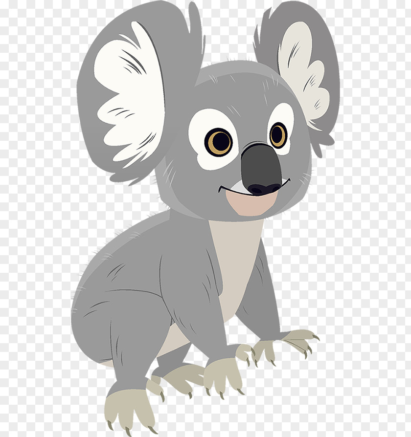 Koala Adventure Film PBS Kids PNG