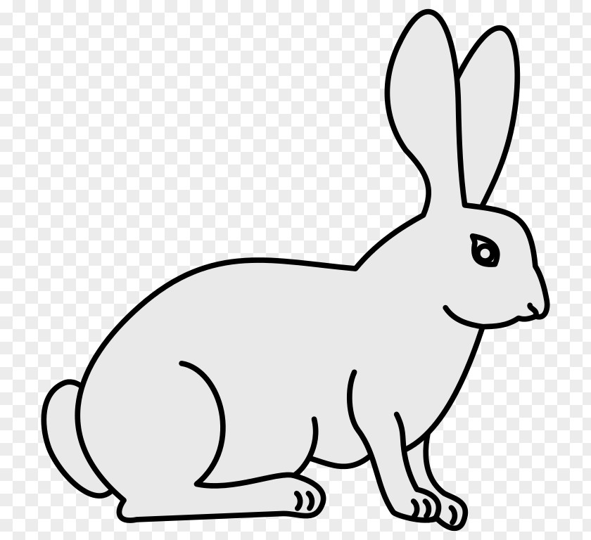 Rabbit Illustrations New Zealand White Domestic Animal PNG