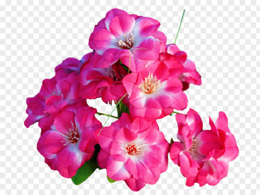 Floral Design PNG