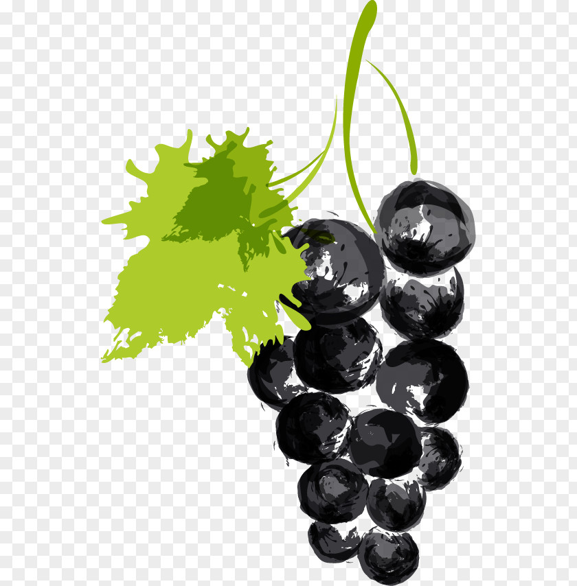Grapes Vector Material Auglis Aedmaasikas Cherry Raspberry PNG