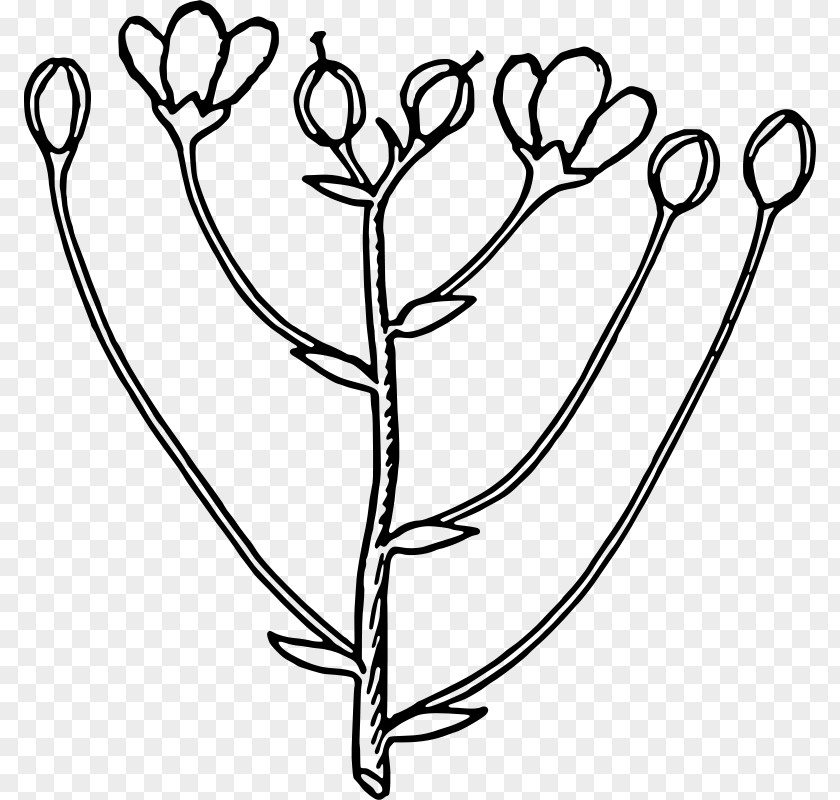 Hand-drawn Cartoon Of A Bouquet Flowers Bud Flower Clip Art PNG