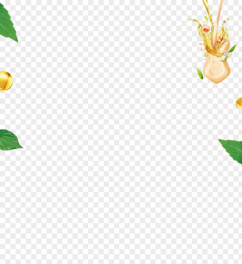 Leaf Petal Plant Stem Flowering Clip Art PNG