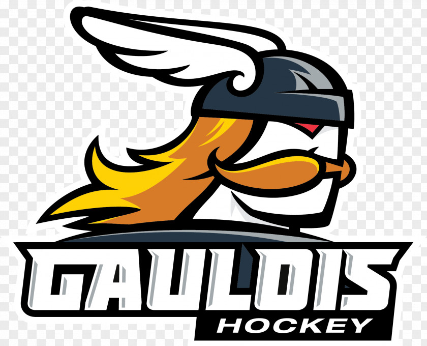 School Ice Hockey Brand Logo Delaware PNG