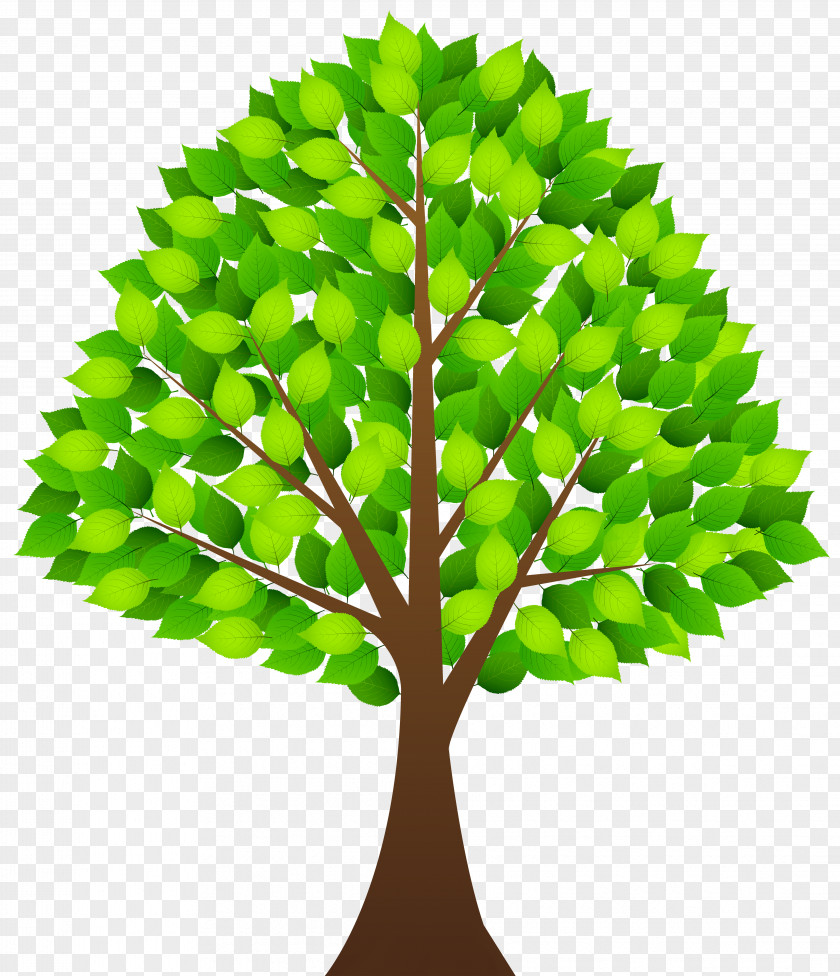 Tree With Green Leaves Transparent Clip Art Image PNG