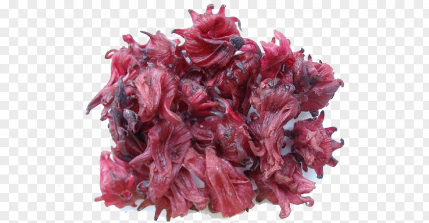 Dried Hibiscus Tea Flower Roselle Fruit PNG