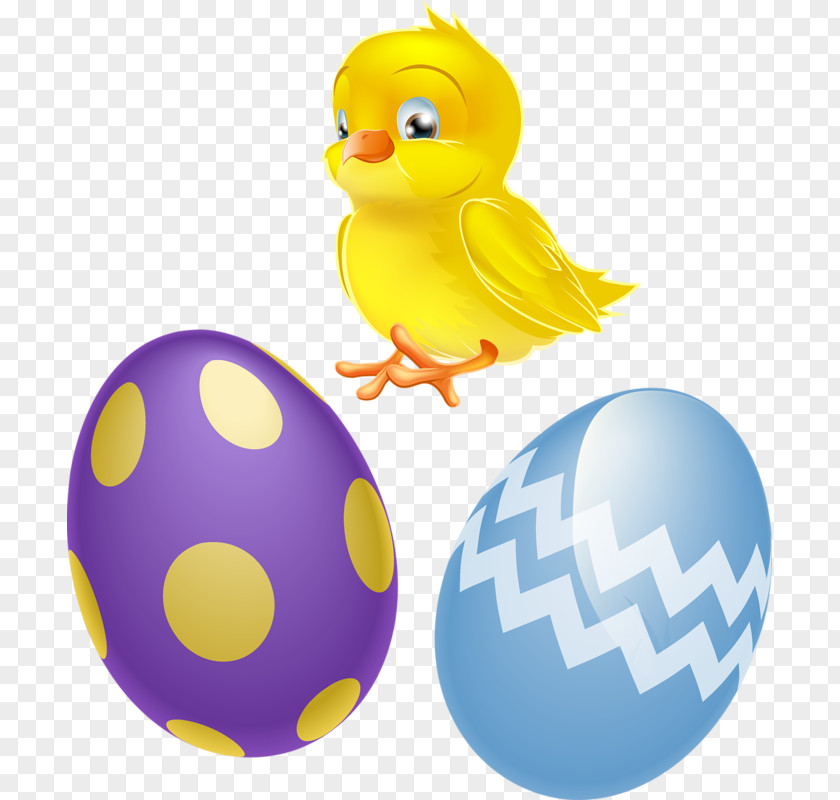 Chickens And Eggs Chicken Easter Egg Clip Art PNG