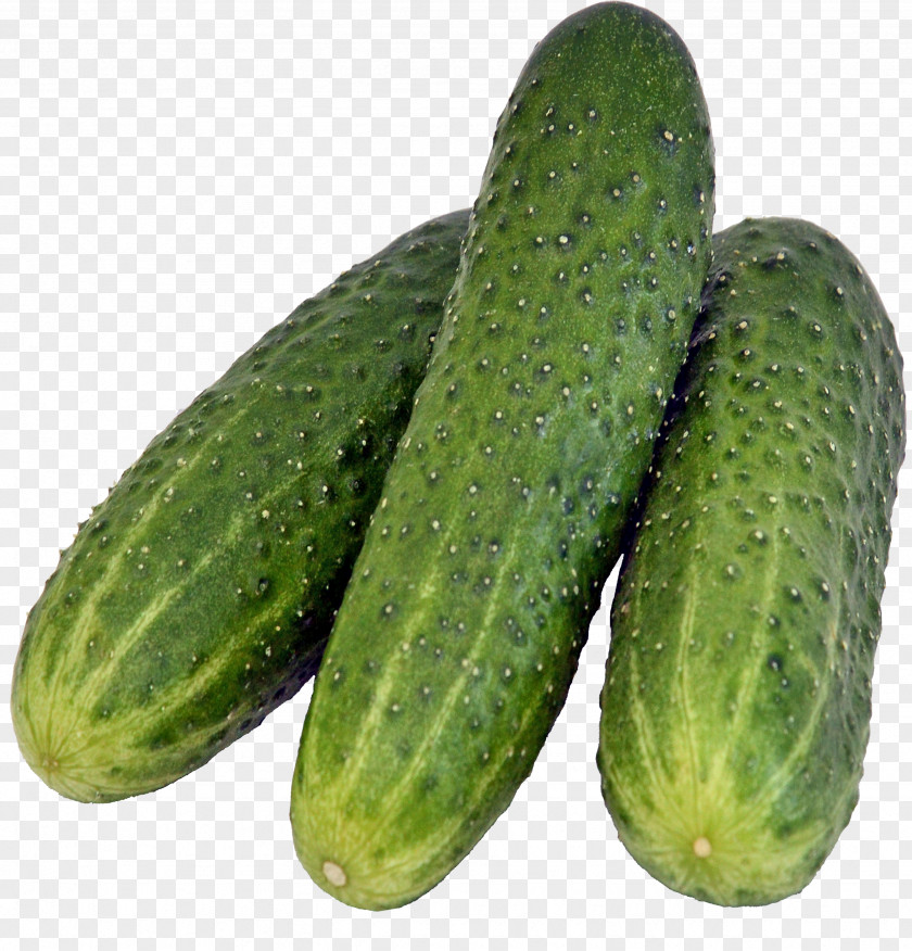 Cucumber Pickled Rassolnik Salad PNG