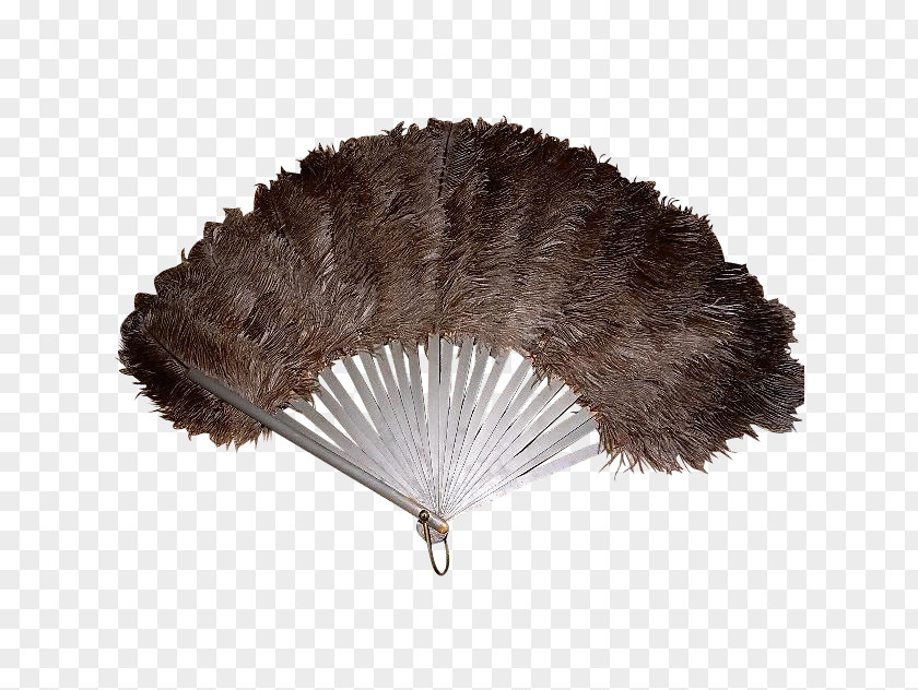 Feather Hand Fan Common Ostrich 1920s Vintage Clothing PNG