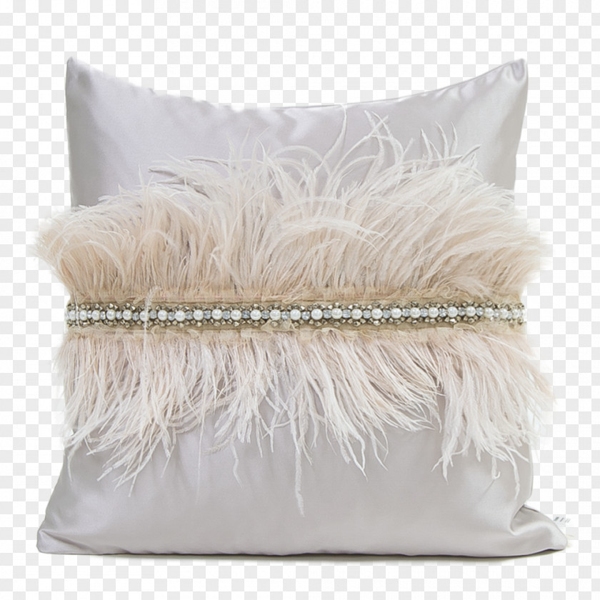 Feather Throw Pillows Common Ostrich Cushion PNG