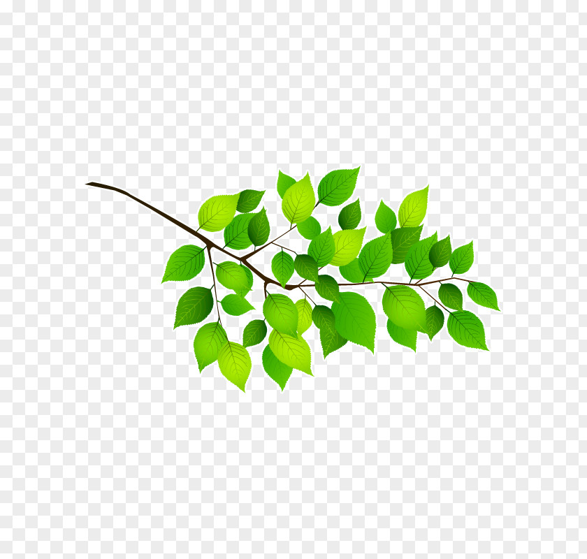 Feuille De Route Twig Branch Leaf Adhesive Sticker PNG