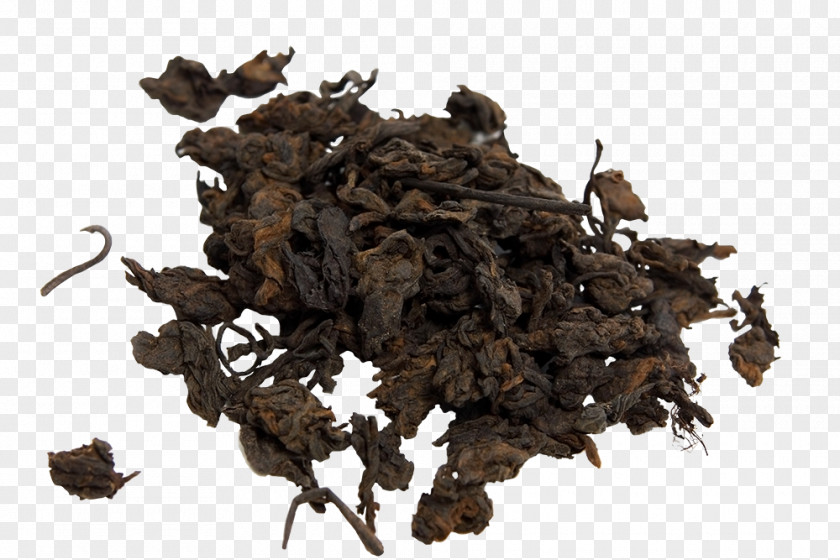 Tea Leaves Green Nilgiri White Oolong PNG