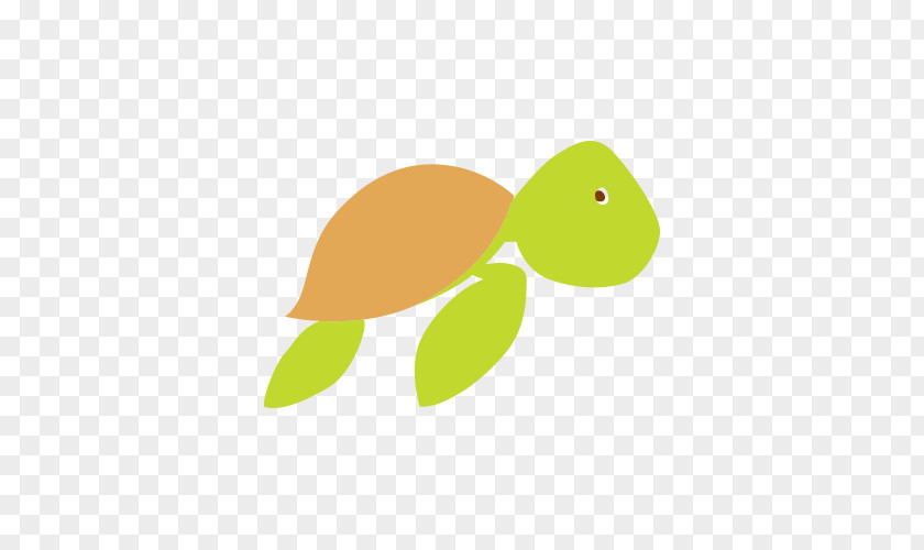 Turtle Sea Green Clip Art PNG