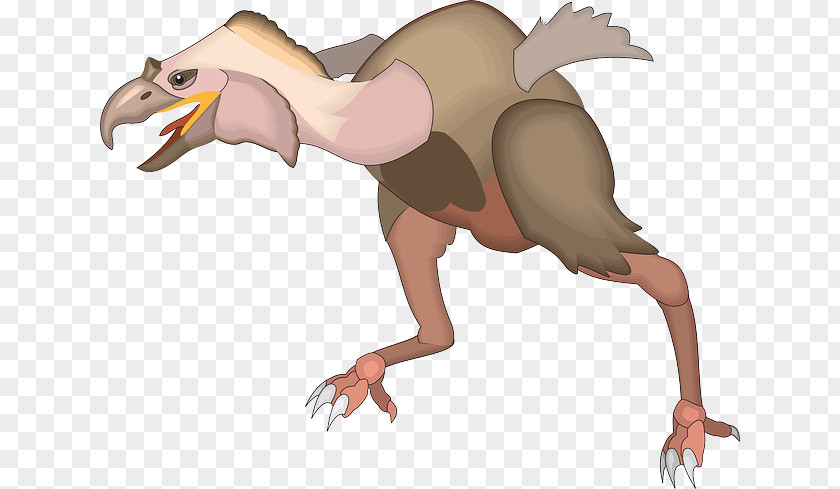 Bird Velociraptor Microraptor Archaeopteryx Tyrannosaurus PNG