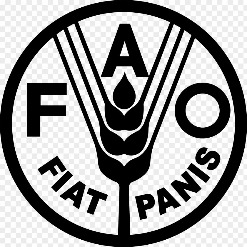 Flounder Food And Agriculture Organization Logo United Nations PNG