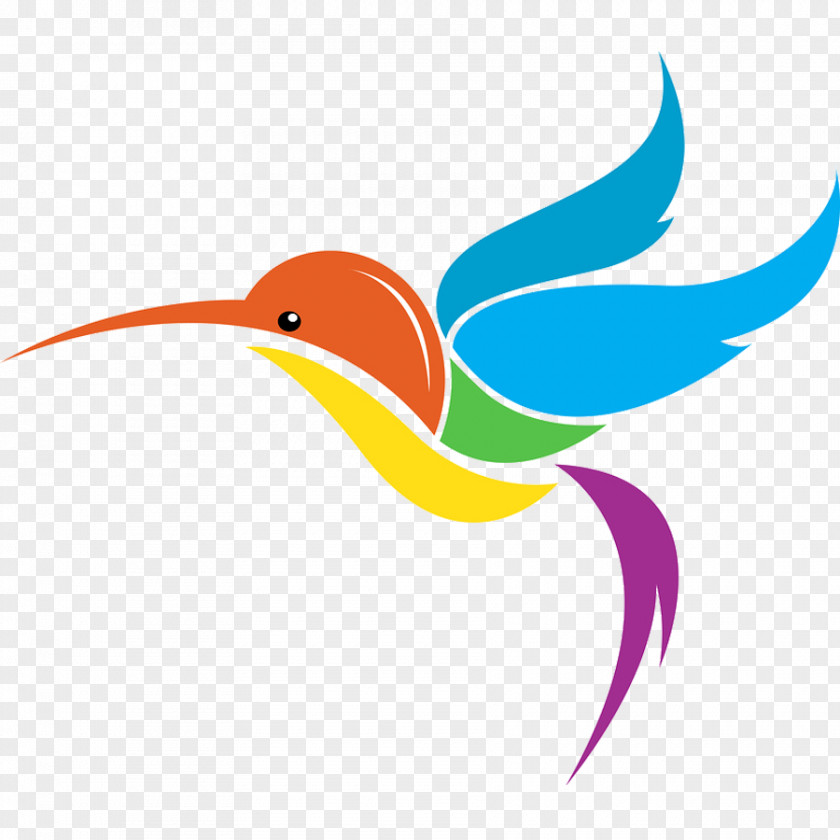 Google Hummingbird Search PageRank PNG