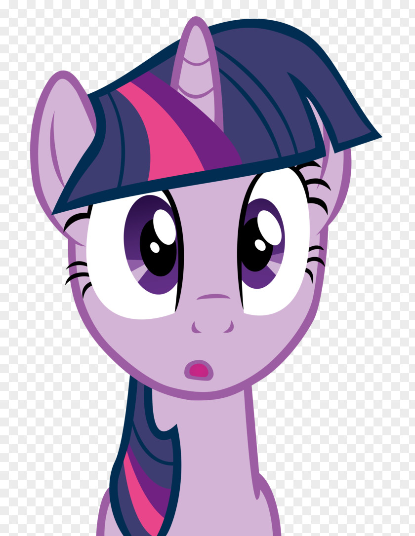 Oho Twilight Sparkle My Little Pony: Equestria Girls Ekvestrio Whiskers PNG