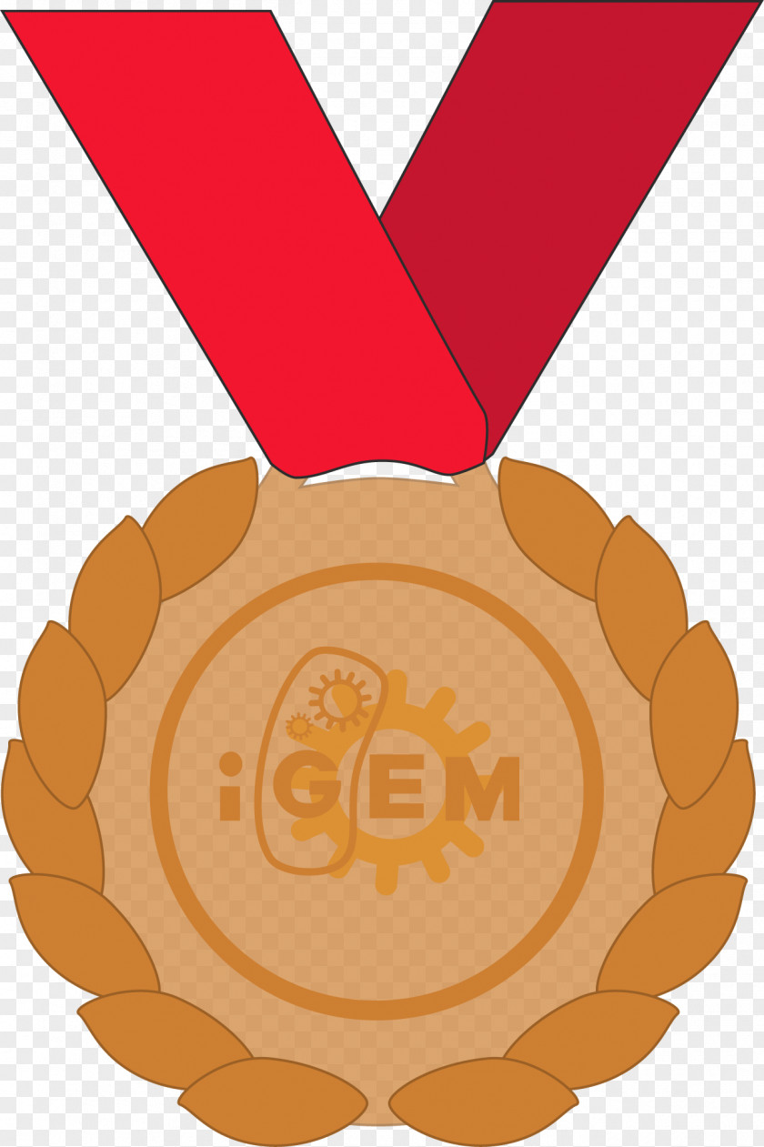 Side Dish Gold Medal Cartoon PNG